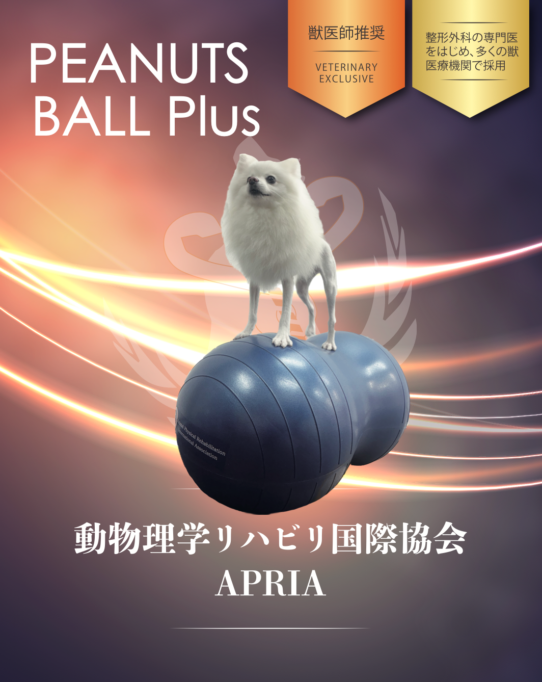 ピーナッツボール プラス – 動物理学リハビリ国際協会 APRIA ピーナッツボール プラス – 動物理学リハビリ国際協会 APRIA