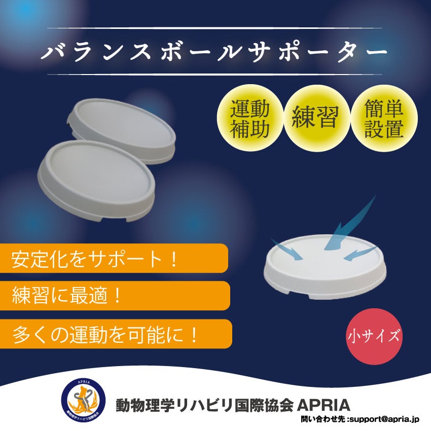 バランスボールサポーター 小