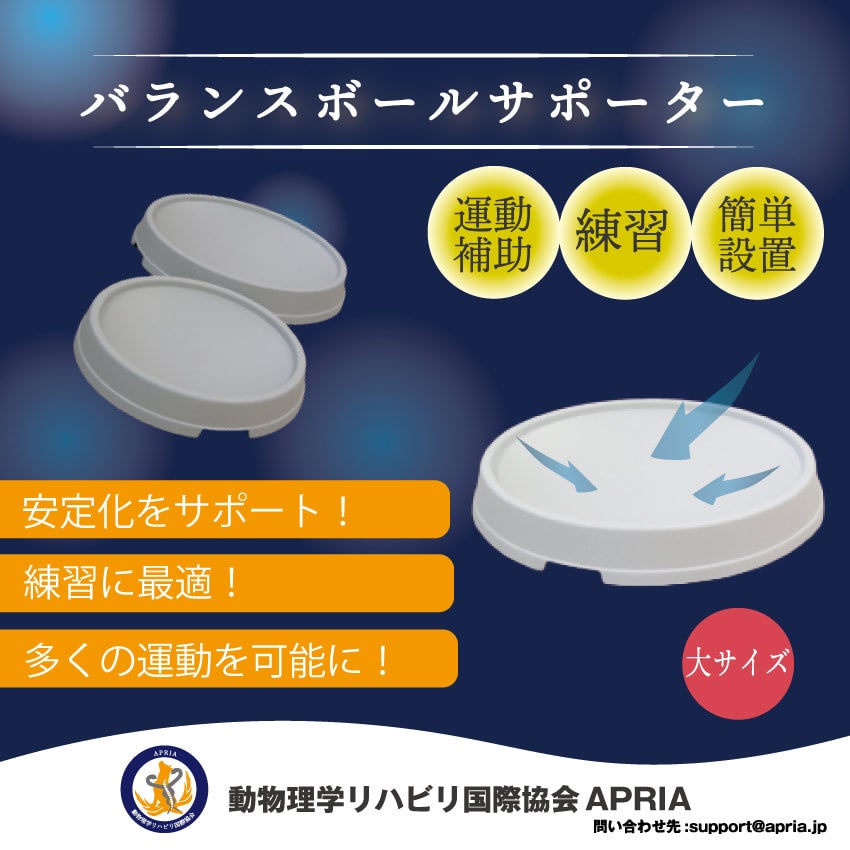 【協会員価格】バランスボールサポーター 大