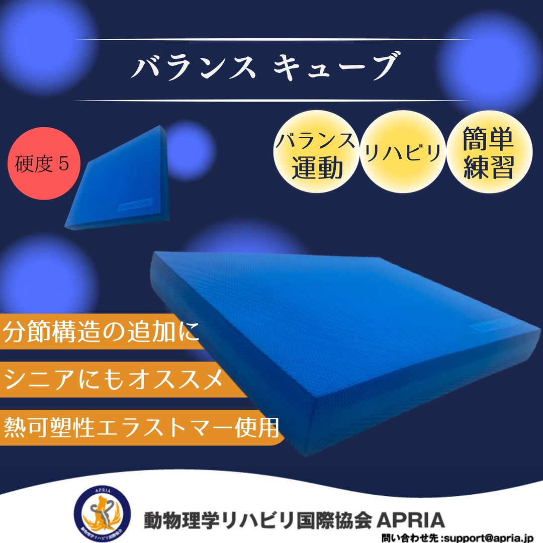 【協会員価格】バランスキューブ