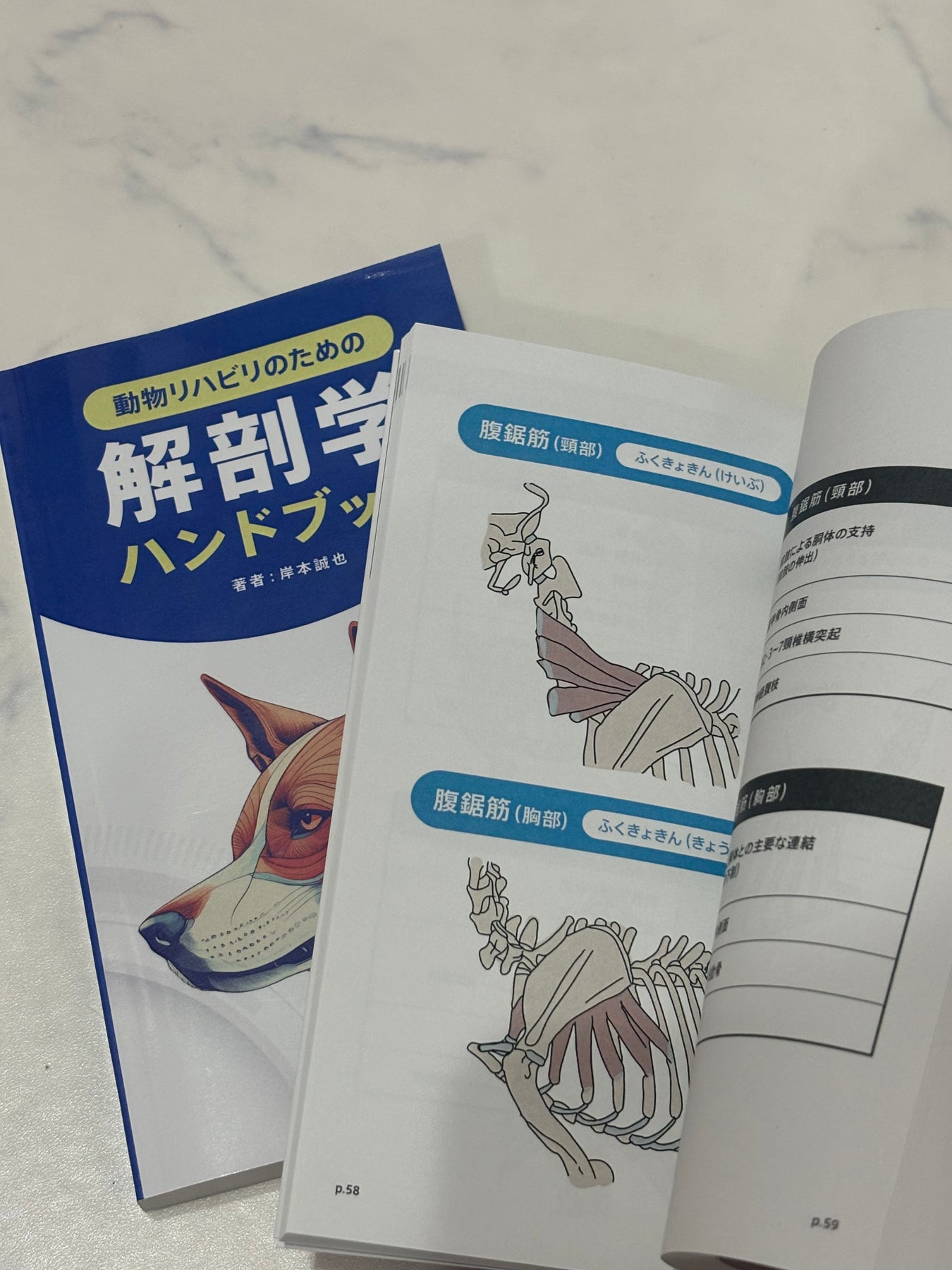 動物リハビリのための解剖学ハンドブック – 動物理学リハビリ国際協会 動物リハビリのための解剖学ハンドブック – 動物理学リハビリ国際協会