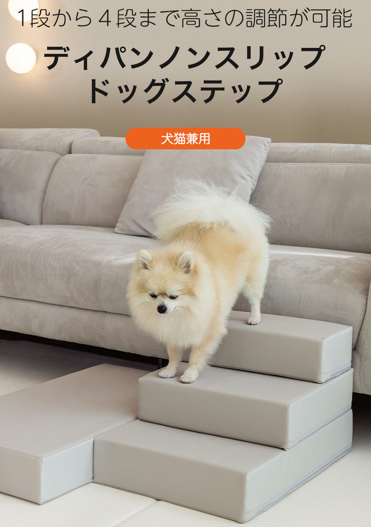 dogstep_body01_1024x1024.jpg?v