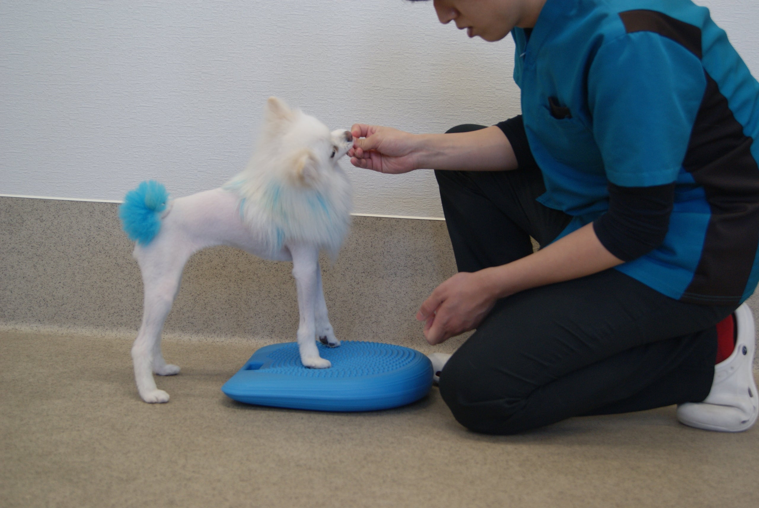 ウォーターゲーム バランススロープ ケアスロープ CS-240C 【長さ240cm】 縦二つ折りタイプ | 車いす通販の