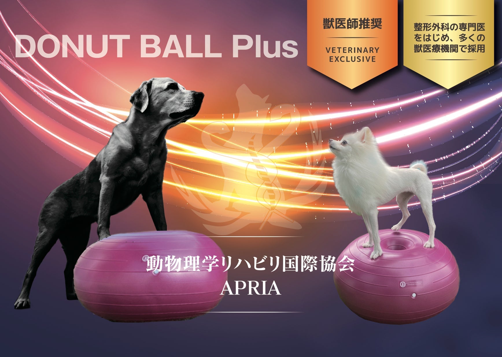 タマネギ　動物理学リハビリ国際協会認定　アプリア　ドーナッツボール プラス ドーナッツボール プラス – 動物理学リハビリ国際協会 APRIA