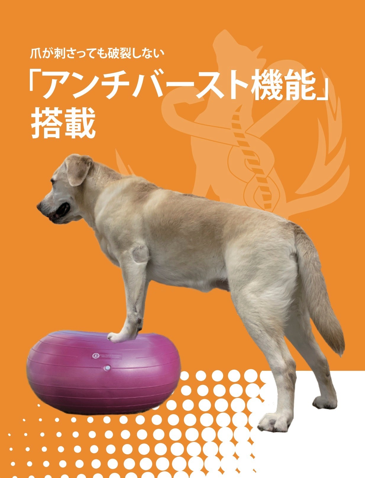ドーナッツボール プラス – 動物理学リハビリ国際協会 APRIA