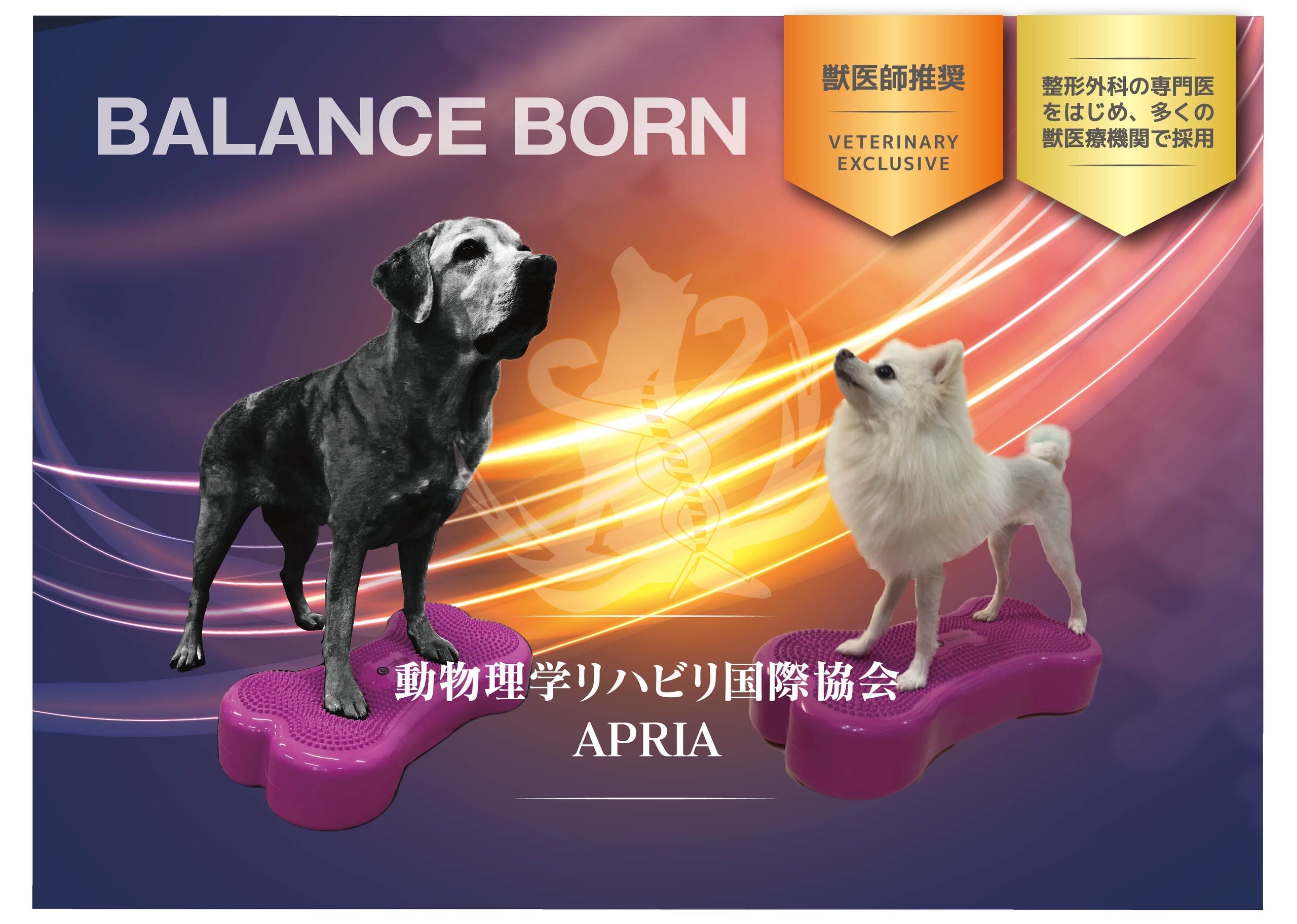 獣医師推奨】アプリア バランスボーン – kps_online_shop